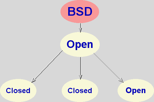 BSD