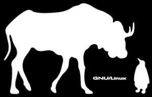 Gnu Linux